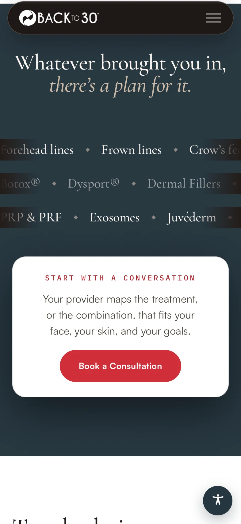 Back to 30 mobile project view showing treatment choices and Book a Consultation